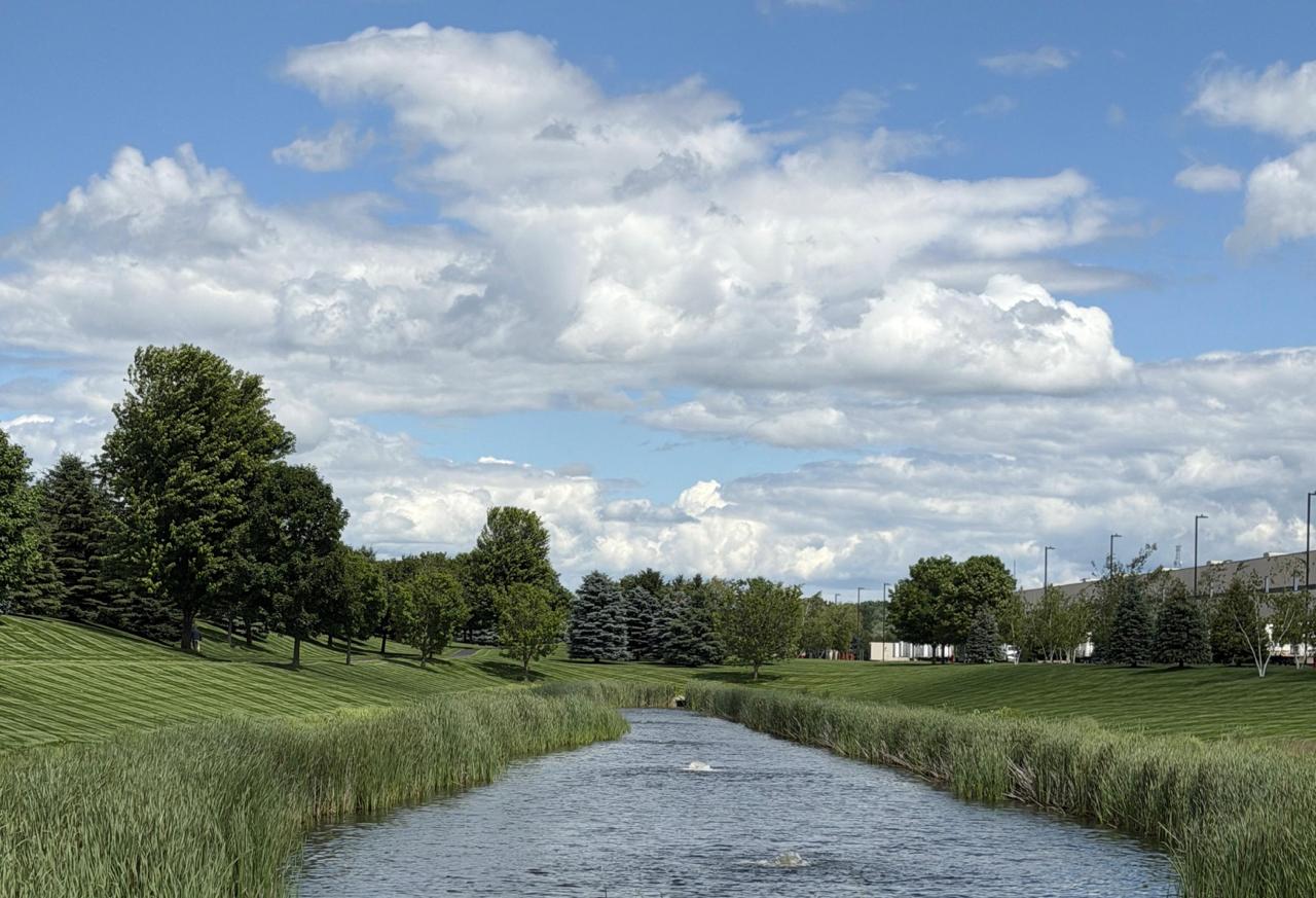 Commercial Lawn Bordering Wetland Canal