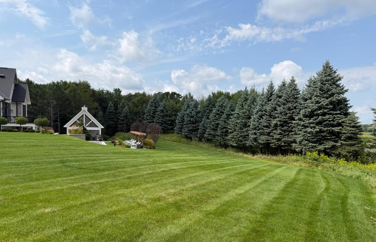 Estate Lawn with Guest House & Blue Spruce Border
